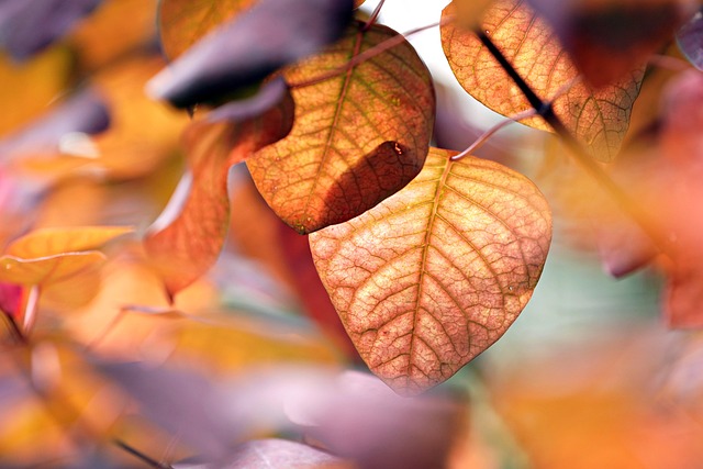 blog-image